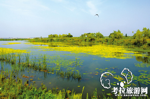 巴兰河漂流